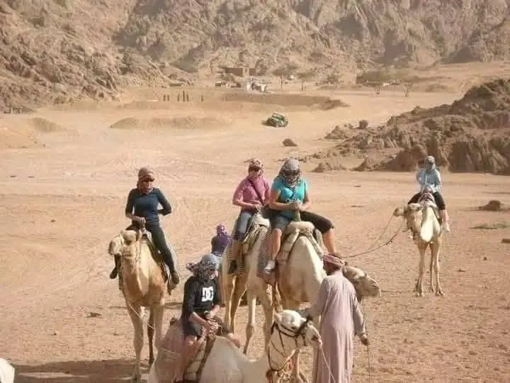 Guests riding camels through the Eastern Desert