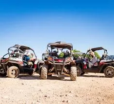 Desert buggies parked beneath a clear blue sky