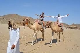 Guests enjoying a camel ride in the desert