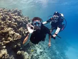 Introductory divers swimming beside a Red Sea coral reef