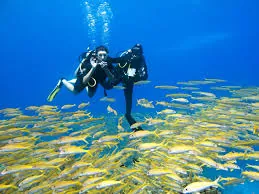 Beginner scuba diver above a school of yellow fish