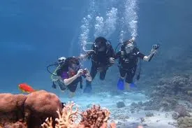 Group of introductory divers posing underwater near coral