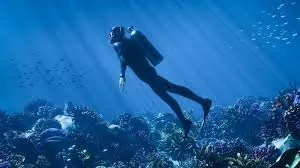 Silhouette of a professional diver above a deep coral reef