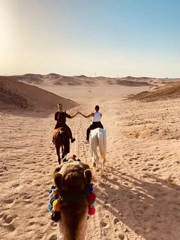 Guests riding horses together through the desert