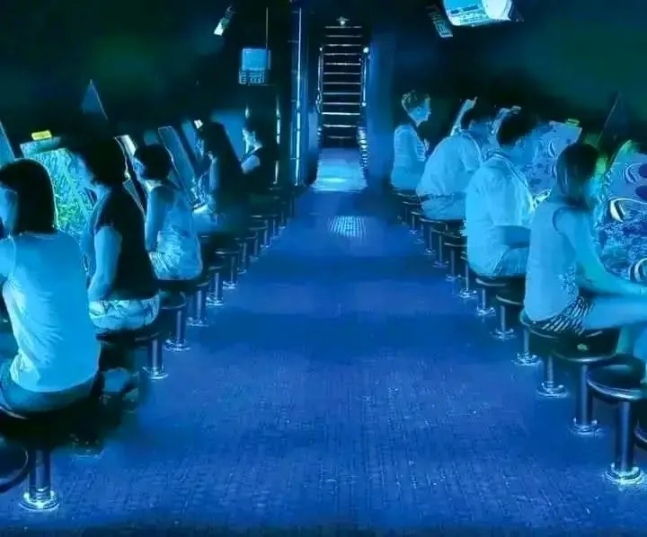 Passengers viewing the underwater world through Royal Seascope windows