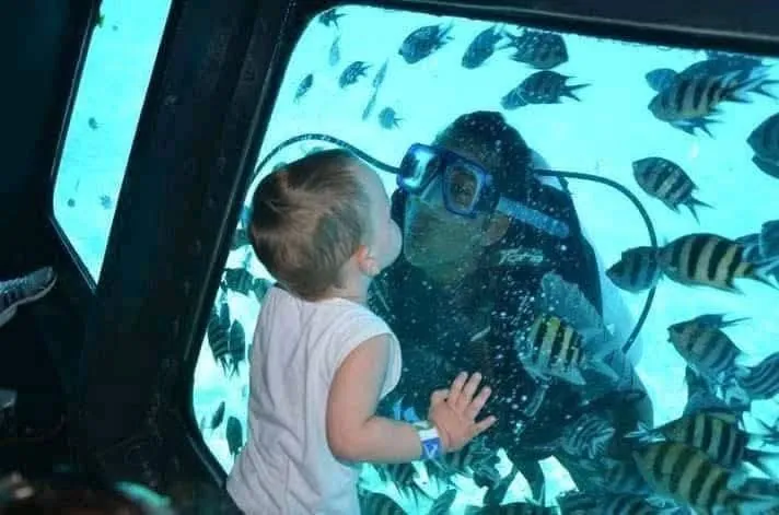 Child watching a scuba diver and fish through a Royal Seascope window