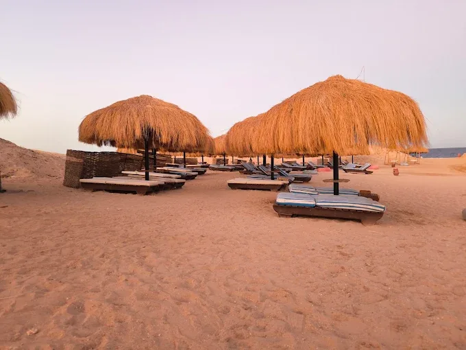 Beach loungers at Sharm El Naga