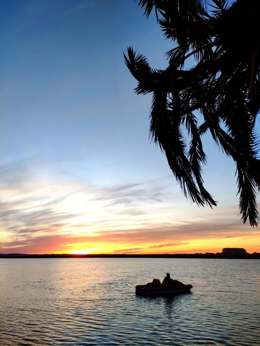 Sunset over the water and palms in Siwa Oasis