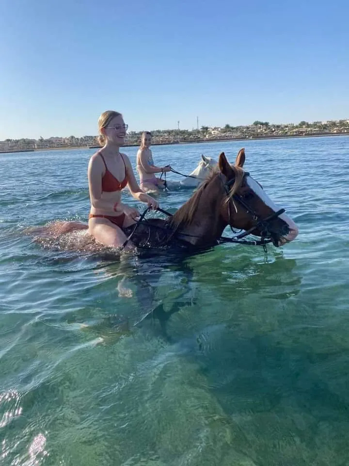 Guest riding a horse through clear Red Sea water