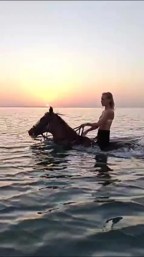 Guest swimming beside a horse in the evening sea